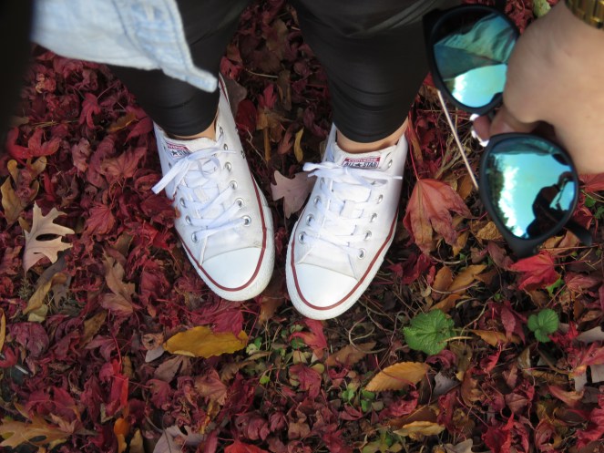 Blog Post - Michigna 11.2015 019