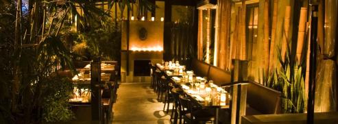 Koi; Sarah In Style; Los Angeles