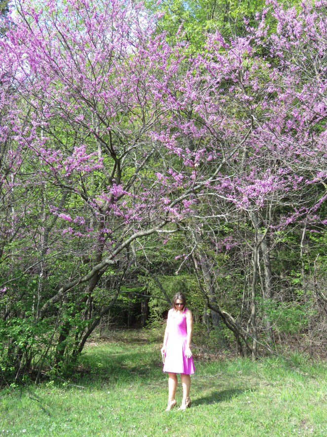 Pretty in Pink, Sarah In Style, Windy City Blogger, WCBC, Fashion Blogger, Spray Tan, Chicago Blogger, sarahinstyle.com, ralph lauren, steve madden