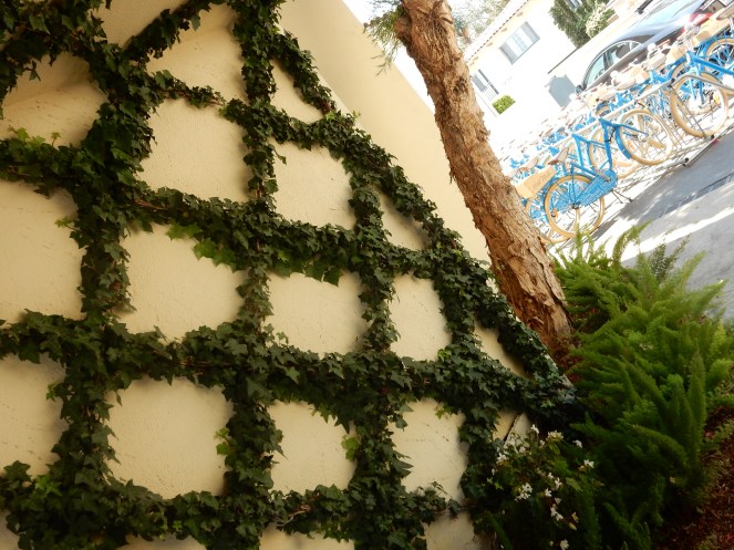 sarah in style, sarahinstyle.com, travel blogger, chicago blogger, windy city bloggers, Santa Barbara, California, American Riviera, Hotel Milo