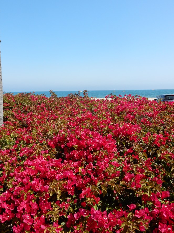 sarah in style, sarahinstyle.com, travel blogger, chicago blogger, windy city bloggers, Santa Barbara, California, American Riviera, Hotel Milo