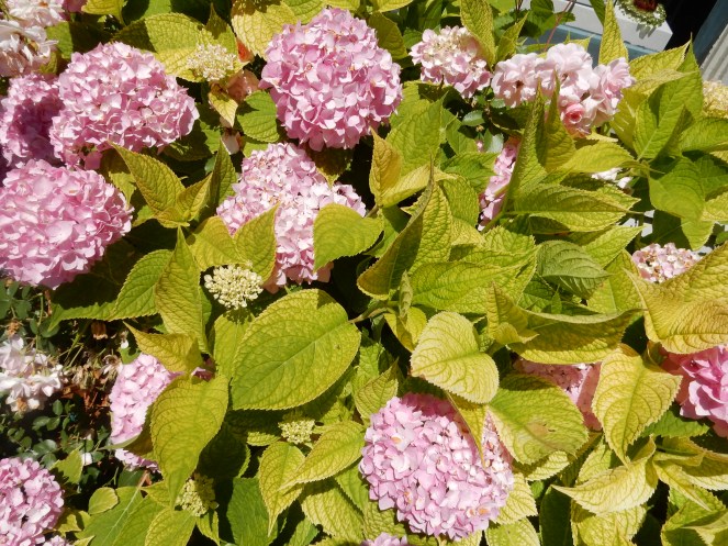 sarah in style, sarahinstyle.com, fashion blogger, windy city bloggers, Mediterranean, europe, where in the world