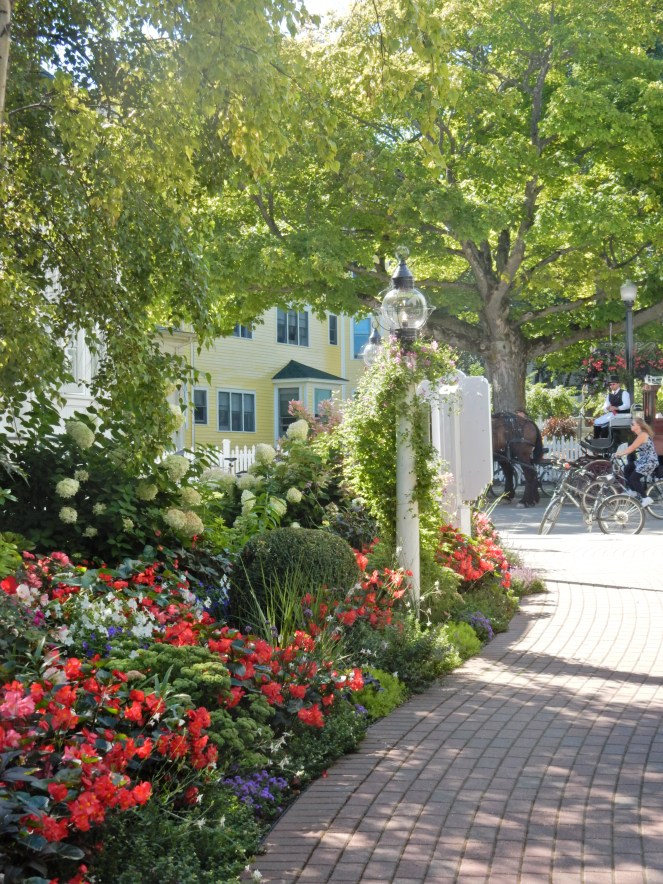 Ann Taylor Amalfi Halter Dress, Ann Taylor, Go To Summer Dress, sarahinstyle.com, sarah in style, fashion blogger, chicago blogger, windy city bloggers, summer to fall wardrobe