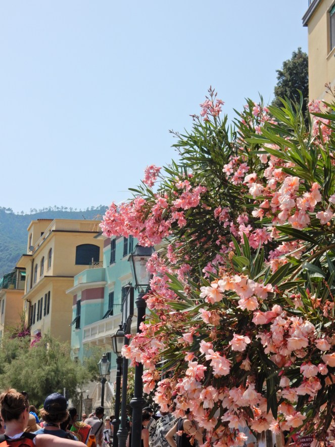 Chicago Blogger, Windy City Bloggers, Cinque Terre, Italy, Manarola, Vernazza, Monterosso, italian riviera, norwegian cruise, Mediterranean cruise,  sarah in style, sarahinstyle.com, travel blogger, what to see in italy, italian must see