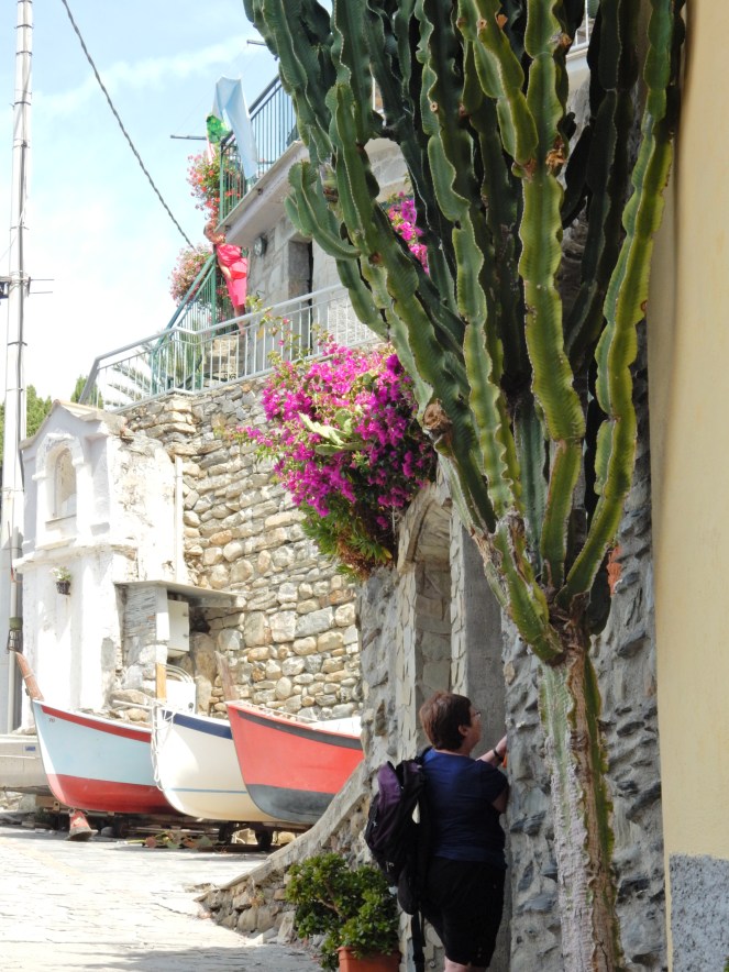 Chicago Blogger, Windy City Bloggers, Cinque Terre, Italy, Manarola, Vernazza, Monterosso, italian riviera, norwegian cruise, Mediterranean cruise,  sarah in style, sarahinstyle.com, travel blogger, what to see in italy, italian must see