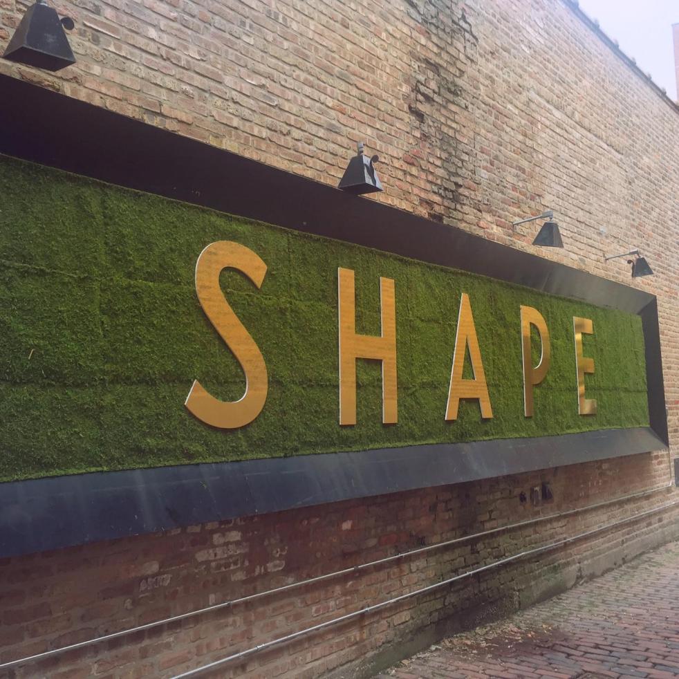 Shape Meet & Tweet, Chicago Bloggers, Body Positivity, Love my Shape, Be the boss of your body, sarah in style, sarahinstyle.com, sarah meyer, jennifer widerstrom, shape magazine, shape, dawn jackson blatner, showbiz shelly, elizabeth goodman artis