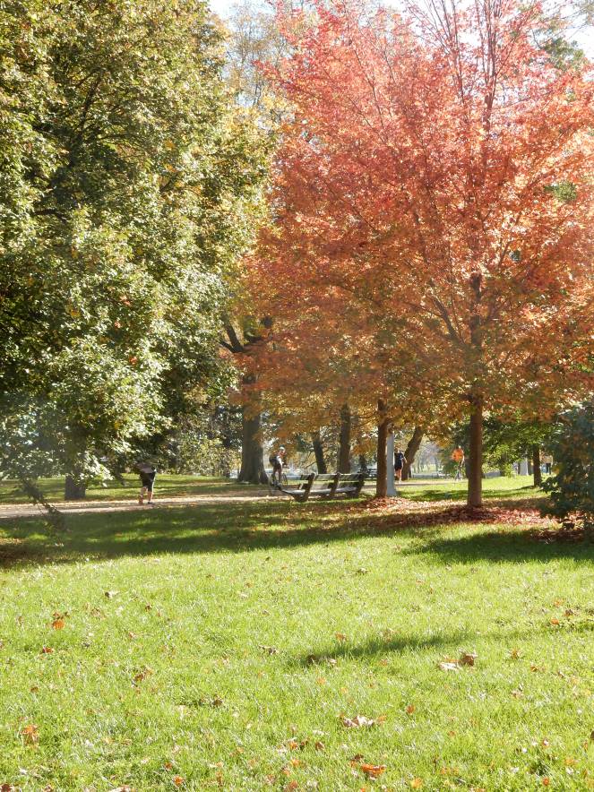 lakeshore drive, chicago bike path, chicago fall color tour, chicago skyline, spyder, workout clothing, fall workout clothing, sarahinstyle.com; sarah in style, sarah meyer, windy city bloggers, wcbcstyle, chicago blogger, fashion blogger