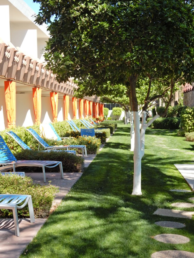 sarah in style, sarahinstyle.com, sarah meyer, all about arizona, what to do in arizona, where to stay in scottsdale. the saguaro, hotel valley ho, where to eat in scottsdale, where to eat in phoenix, what to do in scottsdale, what to do in phoenix, travel blogger, sugar bowl scottsdale, the sugar bowl, Hotel Valley Ho, midcentury modern