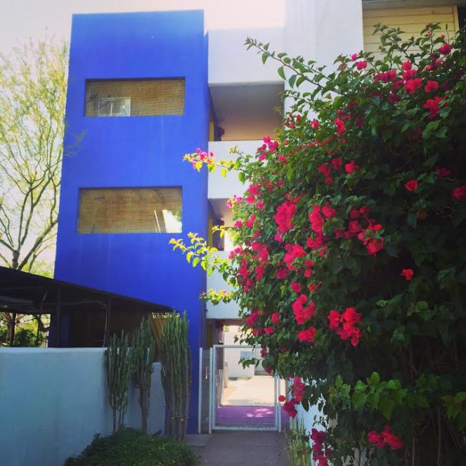 sarah in style, sarahinstyle.com, sarah meyer, all about arizona, what to do in arizona, where to stay in scottsdale. the saguaro, hotel valley ho, where to eat in scottsdale, where to eat in phoenix, what to do in scottsdale, what to do in phoenix, travel blogger, sugar bowl scottsdale, the sugar bowl