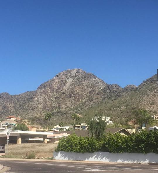 sarah in style, sarahinstyle.com, sarah meyer, all about arizona, what to do in arizona, where to stay in scottsdale. the saguaro, hotel valley ho, where to eat in scottsdale, where to eat in phoenix, what to do in scottsdale, what to do in phoenix, travel blogger, sugar bowl scottsdale, the sugar bowl, Hotel Valley Ho, midcentury modern