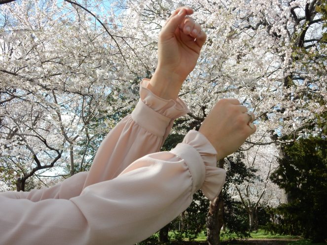 Washington D.C. Cherry Blossom Festival, Cherry Blossom Festival , Cherry Blossoms, D.C. Cherry Blossoms, Washington D.C., District of Columbia, Springtime, Spring fling, spring flowers, flowering trees, sarah in style, sarahinstyle.com, Sarah Meyer, Tidal Pond, Jefferson Memorial, DC Monuments