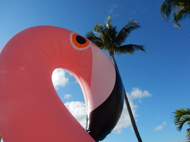 sunset key, key west, islamorada, florida keys, florida, sunshine state, tropical vacation, hemingway house, margaritaville, The Marker, Bagatelle, Latitudes, florida sunset, southermostpoint, sarah in style, sarah Meyer, sarahinstyle.com, travel blogger