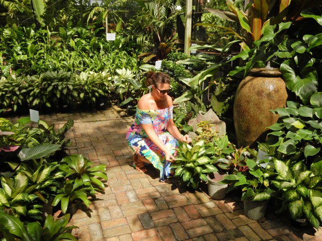 Island Home, Islamorada, Florida Keys, www.lillypulitzer.com, Lilly Pulitzer, Travelers Palm, Resort Navy Travelers Palm, MANSI CROP TOP & MAXI SKIRT SET, Lilly Pulitzer crop top, Lilly Pulitzer skirt, Sarah In Style, sarahinstyle.com, Sarah Meyer, Islamorada, Island Home, Florida Keys, Tropical style, vacation style, vacation fashion, summer style, #wcbcstyle, Chicago blogger, fashion blogger, windy city bloggers