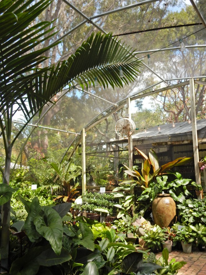 Island Home, Islamorada, Florida Keys, www.lillypulitzer.com, Lilly Pulitzer, Travelers Palm, Resort Navy Travelers Palm, MANSI CROP TOP & MAXI SKIRT SET, Lilly Pulitzer crop top, Lilly Pulitzer skirt, Sarah In Style, sarahinstyle.com, Sarah Meyer, Islamorada, Island Home, Florida Keys, Tropical style, vacation style, vacation fashion, summer style, #wcbcstyle, Chicago blogger, fashion blogger, windy city bloggers