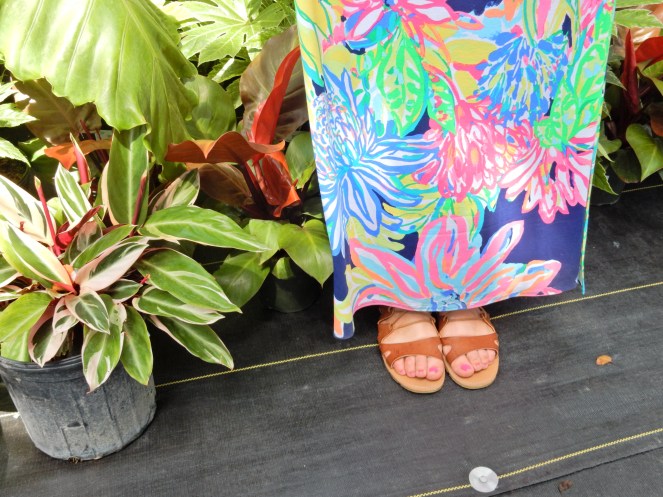 Island Home, Islamorada, Florida Keys, www.lillypulitzer.com, Lilly Pulitzer, Travelers Palm, Resort Navy Travelers Palm, MANSI CROP TOP & MAXI SKIRT SET, Lilly Pulitzer crop top, Lilly Pulitzer skirt, Sarah In Style, sarahinstyle.com, Sarah Meyer, Islamorada, Island Home, Florida Keys, Tropical style, vacation style, vacation fashion, summer style, #wcbcstyle, Chicago blogger, fashion blogger, windy city bloggers