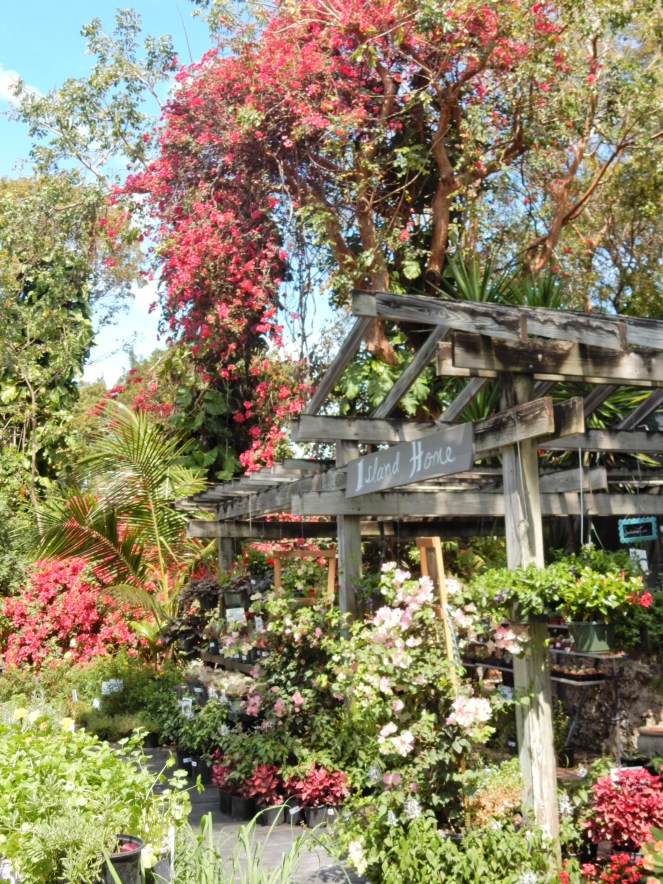 Island Home, Islamorada, Florida Keys, www.lillypulitzer.com, Lilly Pulitzer, Travelers Palm, Resort Navy Travelers Palm, MANSI CROP TOP & MAXI SKIRT SET, Lilly Pulitzer crop top, Lilly Pulitzer skirt, Sarah In Style, sarahinstyle.com, Sarah Meyer, Islamorada, Island Home, Florida Keys, Tropical style, vacation style, vacation fashion, summer style, #wcbcstyle, Chicago blogger, fashion blogger, windy city bloggers