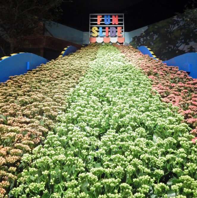 McFarlane & Douglas, McFarlane & Douglass, Spin-spun, Macy's Flower Show, Flower Show, Macy's events, Macy's, Macy's State Street, Macy's New York City, MAcy's NYC, Macy's San Francisco, Carnival, flowers, springtime, carnival theme, sarah in style, sarahinstyle.com, Sarah Meyer, Chicago events, what to do in Chicago, Chicago