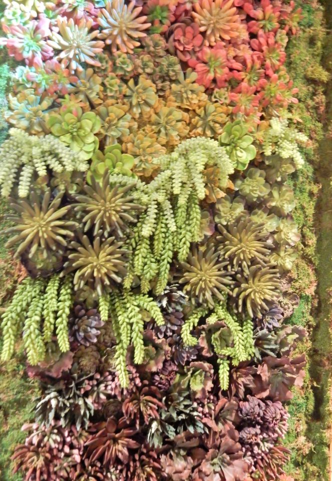 McFarlane & Douglas, McFarlane & Douglass, Spin-spun, Macy's Flower Show, Flower Show, Macy's events, Macy's, Macy's State Street, Macy's New York City, MAcy's NYC, Macy's San Francisco, Carnival, flowers, springtime, carnival theme, sarah in style, sarahinstyle.com, Sarah Meyer, Chicago events, what to do in Chicago, Chicago