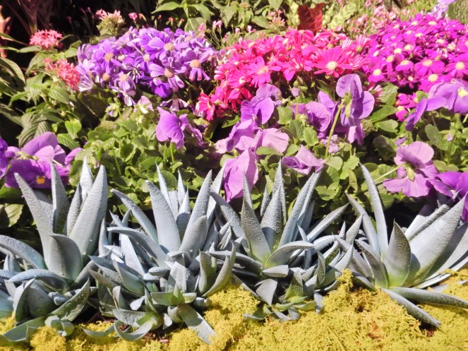 McFarlane & Douglas, McFarlane & Douglass, Spin-spun, Macy's Flower Show, Flower Show, Macy's events, Macy's, Macy's State Street, Macy's New York City, MAcy's NYC, Macy's San Francisco, Carnival, flowers, springtime, carnival theme, sarah in style, sarahinstyle.com, Sarah Meyer, Chicago events, what to do in Chicago, Chicago