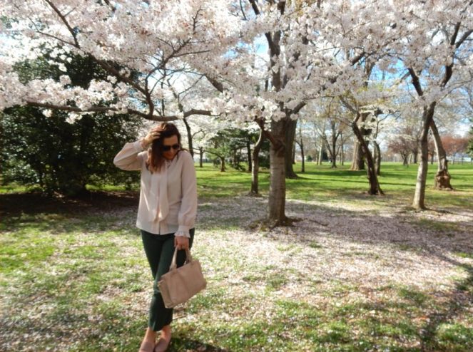 Washington D.C. Cherry Blossom Festival, Cherry Blossom Festival , Cherry Blossoms, D.C. Cherry Blossoms, Washington D.C., District of Columbia, Springtime, Spring fling, spring flowers, flowering trees, sarah in style, sarahinstyle.com, Sarah Meyer, Tidal Pond, Jefferson Memorial, DC Monuments, Ruffled Pink Blouse