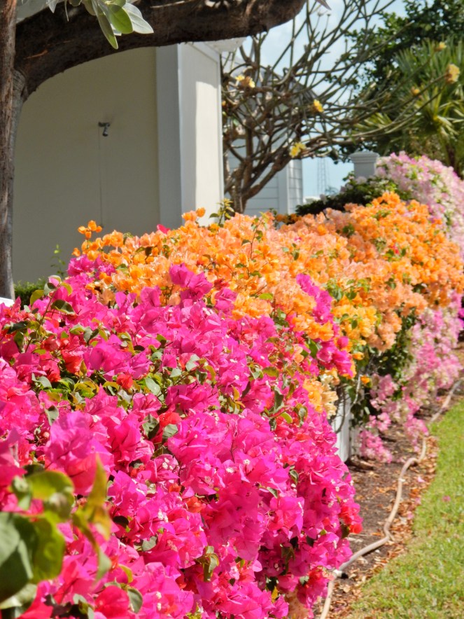 sunset key, key west, islamorada, florida keys, florida, sunshine state, tropical vacation, hemingway house, margaritaville, The Marker, Bagatelle, Latitudes, florida sunset, southermostpoint, sarah in style, sarah Meyer, sarahinstyle.com, travel blogger, palm leaf, palm leaf skirt, tropical attire