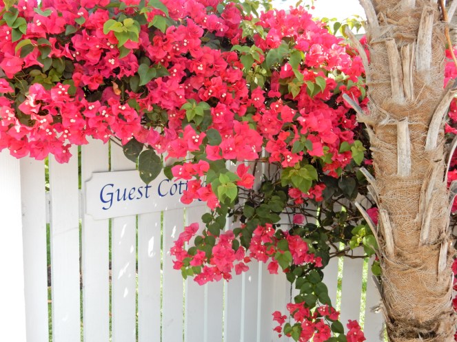 sunset key, key west, islamorada, florida keys, florida, sunshine state, tropical vacation, hemingway house, margaritaville, The Marker, Bagatelle, Latitudes, florida sunset, southermostpoint, sarah in style, sarah Meyer, sarahinstyle.com, travel blogger, palm leaf, palm leaf skirt, tropical attire