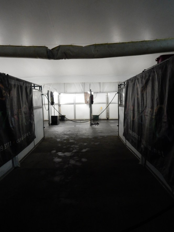 Cavalia Odysseo, Cavalia, Odysseo, cirque du soleil, acrobats, aerialists, Chicago shows, horses, horse show, Chicago events, what to do in Chicago, Sarah In Stye, sarahinstyle.com, Sarah Meyer, fantastic show, touring, Montreal