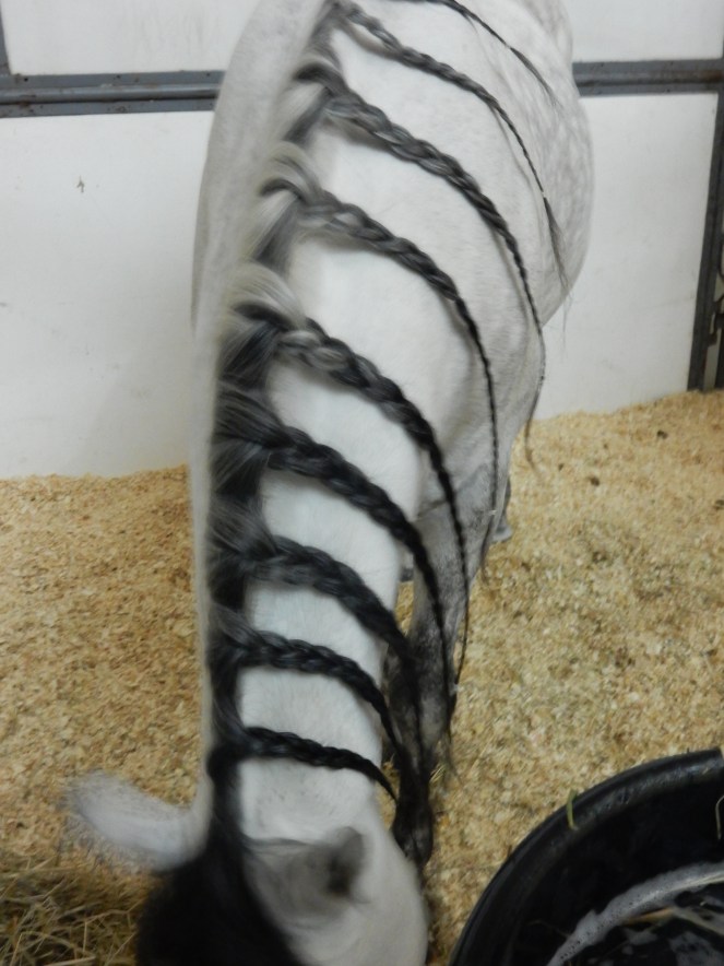 Cavalia Odysseo, Cavalia, Odysseo, cirque du soleil, acrobats, aerialists, Chicago shows, horses, horse show, Chicago events, what to do in Chicago, Sarah In Stye, sarahinstyle.com, Sarah Meyer, fantastic show, touring, Montreal