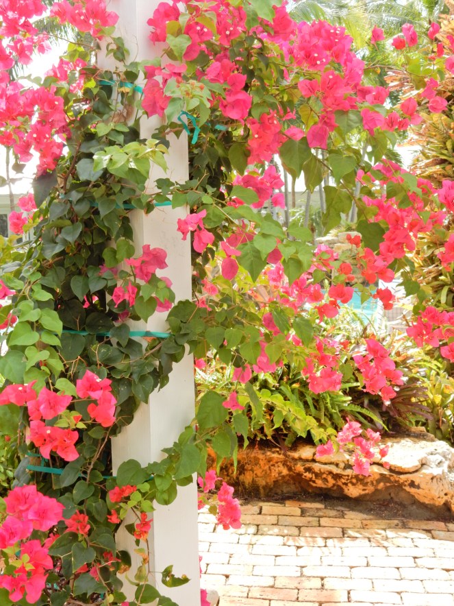 sunset key, key west, islamorada, florida keys, florida, sunshine state, tropical vacation, hemingway house, margaritaville, The Marker, Bagatelle, Latitudes, florida sunset, southermostpoint, sarah in style, sarah Meyer, sarahinstyle.com, travel blogger, palm leaf, palm leaf skirt, tropical attire