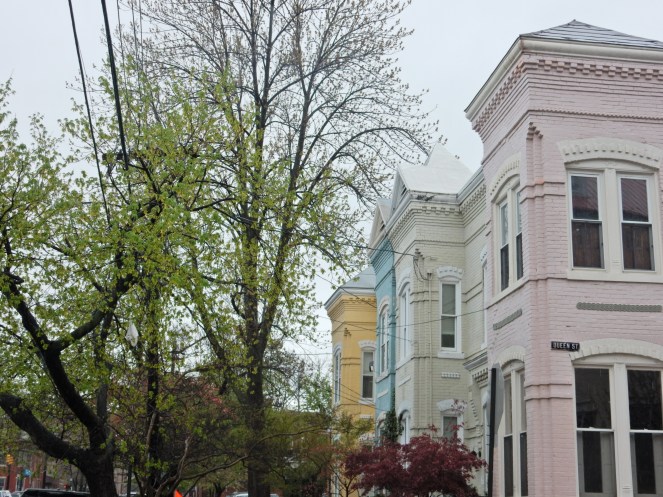 outdoor decor, pink home, Alexandria Virginia, Alexandria VA, Alexandria, Bold Front Doors, Come and Knock on my door, Colorful homes, new England, Washington D.C., gluten free D.C., gluten free Alexandria, sarahinstyle.com, Sarah In Style, What to do in D.C., What to do in Alexandria, curb appeal
