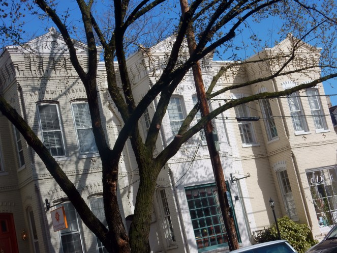 outdoor decor, pink home, Alexandria Virginia, Alexandria VA, Alexandria, Bold Front Doors, Come and Knock on my door, Colorful homes, new England, Washington D.C., gluten free D.C., gluten free Alexandria, sarahinstyle.com, Sarah In Style, What to do in D.C., What to do in Alexandria, curb appeal