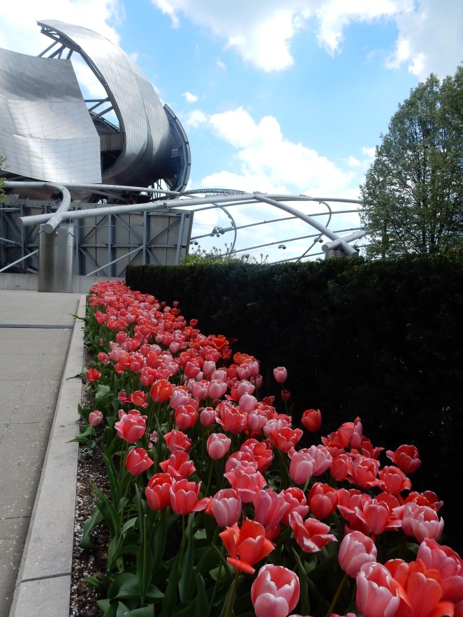 April Showers Bring May Flowers, Chicago Bean, Chicago Millenium Park, Chicago Loop, The Bean, Cloudgate, Kate Spade, Chicago, downtown Chicago, chitown, sarah in style, little black dress, lbd, bow dress, bow earrings, pearls, sarah meyer, 100 years young, springtime, tulips, fresh, life, windy city bloggers, chicago blog, fashion blog, style blog