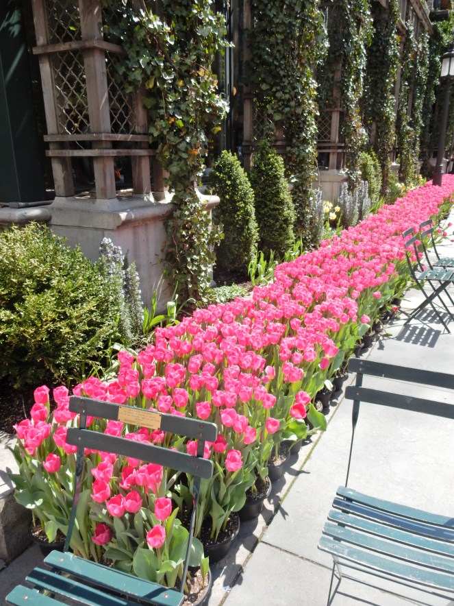 Bryant Park, Big Apple, NYC, wcbcstyle, floral dress, spring trends, Maison Jules, Kenneth Cole, Kate Spade, Heavenly Couture, Essie, Spring Fashion, Summer Fashion, spring blooms, gorgeous flowers