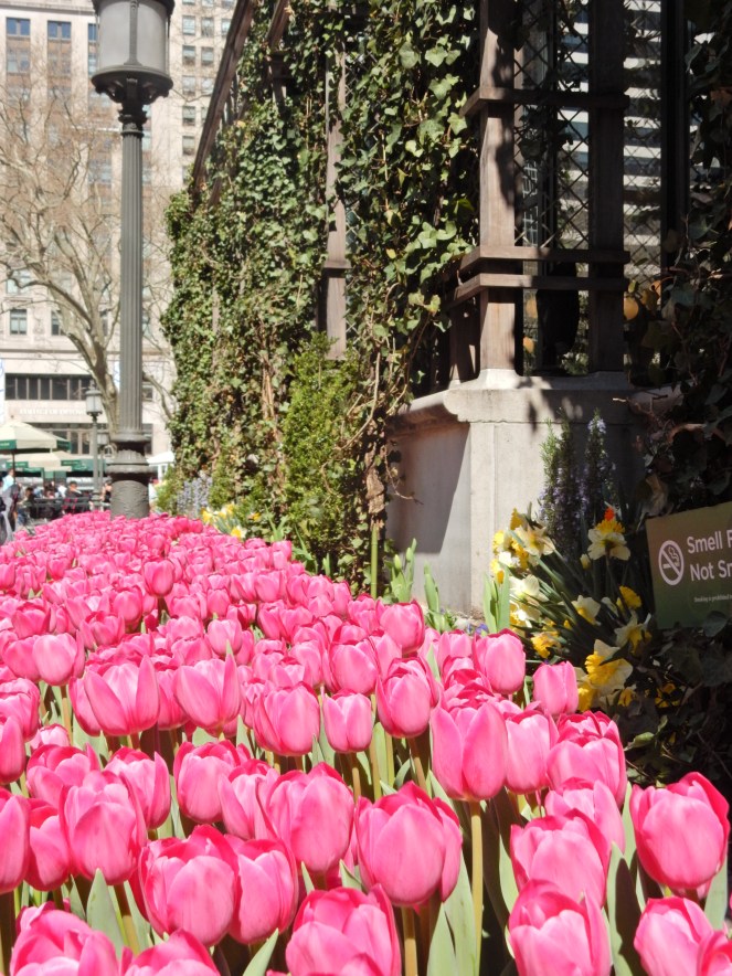 Bryant Park, Big Apple, NYC, wcbcstyle, floral dress, spring trends, Maison Jules, Kenneth Cole, Kate Spade, Heavenly Couture, Essie, Spring Fashion, Summer Fashion, spring blooms, gorgeous flowers