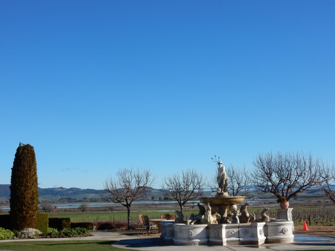 San Francisco Bay, San Francisco, Napa Valley Wine Country Tours, Napa Tour, Sonoma Tour, Napa Wine Country, Napa tours, napa valley tours, Michael Mondavi Napa, Jacuzzi vineyards, Madonna Estate, downtown Sonoma, best napa tour, Sarah In Style, Sarah Meyer, wine country, wine tour, California, California Wine Country