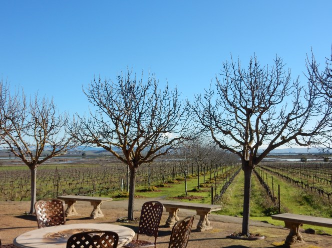 San Francisco Bay, San Francisco, Napa Valley Wine Country Tours, Napa Tour, Sonoma Tour, Napa Wine Country, Napa tours, napa valley tours, Michael Mondavi Napa, Jacuzzi vineyards, Madonna Estate, downtown Sonoma, best napa tour, Sarah In Style, Sarah Meyer, wine country, wine tour, California, California Wine Country