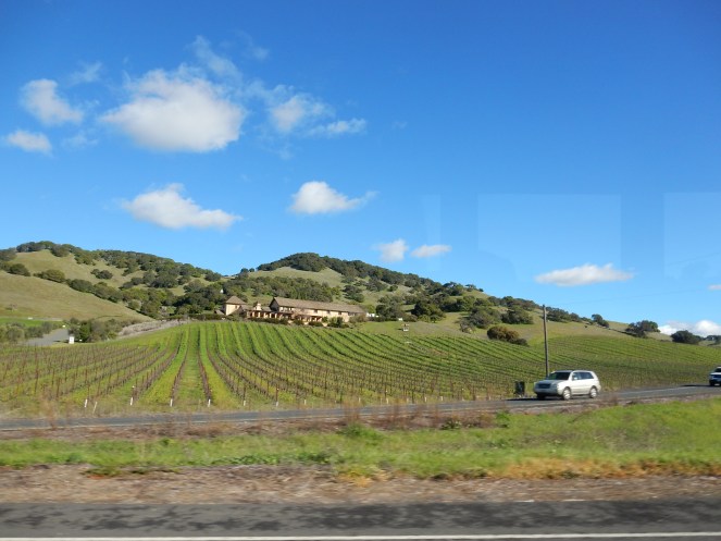 San Francisco Bay, San Francisco, Napa Valley Wine Country Tours, Napa Tour, Sonoma Tour, Napa Wine Country, Napa tours, napa valley tours, Michael Mondavi Napa, Jacuzzi vineyards, Madonna Estate, downtown Sonoma, best napa tour, Sarah In Style, Sarah Meyer, wine country, wine tour, California, California Wine Country