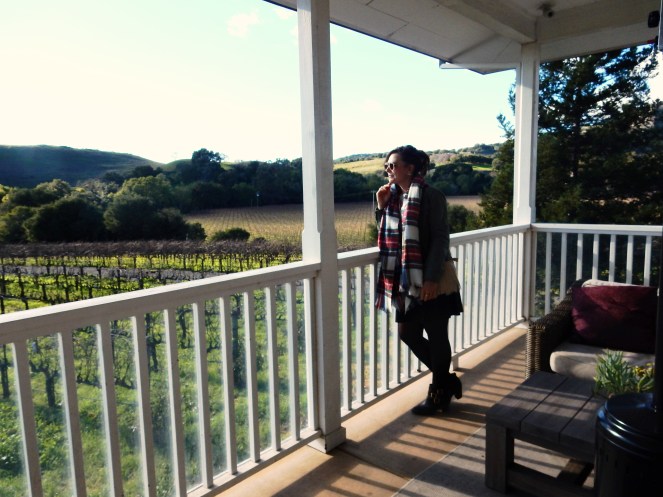 San Francisco Bay, San Francisco, Napa Valley Wine Country Tours, Napa Tour, Sonoma Tour, Napa Wine Country, Napa tours, napa valley tours, Michael Mondavi Napa, Jacuzzi vineyards, Madonna Estate, downtown Sonoma, best napa tour, Sarah In Style, Sarah Meyer, wine country, wine tour, California, California Wine Country