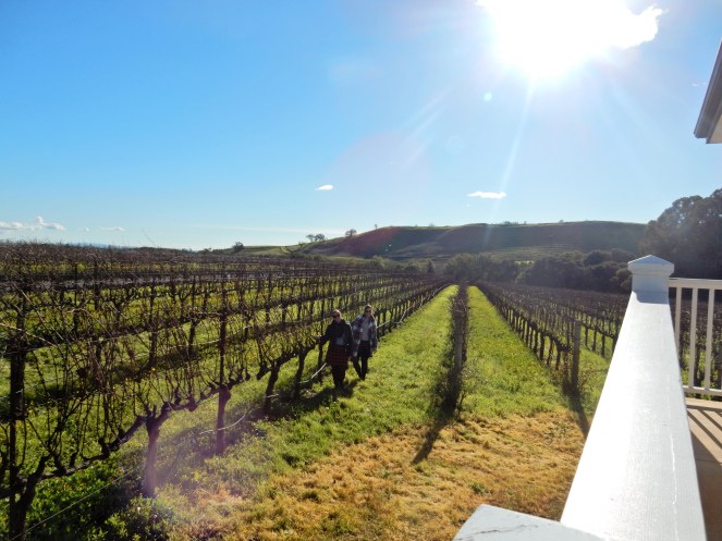 San Francisco Bay, San Francisco, Napa Valley Wine Country Tours, Napa Tour, Sonoma Tour, Napa Wine Country, Napa tours, napa valley tours, Michael Mondavi Napa, Jacuzzi vineyards, Madonna Estate, downtown Sonoma, best napa tour, Sarah In Style, Sarah Meyer, wine country, wine tour, California, California Wine Country