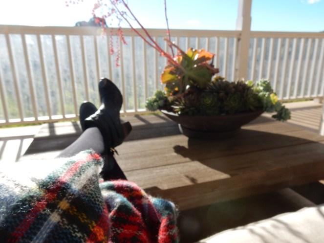 San Francisco Bay, San Francisco, Napa Valley Wine Country Tours, Napa Tour, Sonoma Tour, Napa Wine Country, Napa tours, napa valley tours, Michael Mondavi Napa, Jacuzzi vineyards, Madonna Estate, downtown Sonoma, best napa tour, Sarah In Style, Sarah Meyer, wine country, wine tour, California, California Wine Country