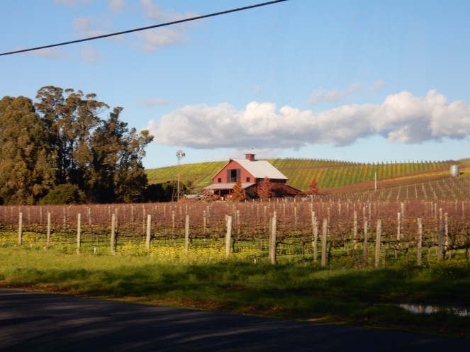 San Francisco Bay, San Francisco, Napa Valley Wine Country Tours, Napa Tour, Sonoma Tour, Napa Wine Country, Napa tours, napa valley tours, Michael Mondavi Napa, Jacuzzi vineyards, Madonna Estate, downtown Sonoma, best napa tour, Sarah In Style, Sarah Meyer, wine country, wine tour, California, California Wine Country