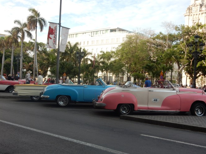 Cuba, Havana, Cuban Style, Cuban Flair, sarah in style, sarah meyer, sarahinstyle.com, windy city bloggers, fashion blogger, style blogger, travel recommendations, travel ideas, cuba travel, travel blogger, travel blog, how to dress in cuba, H&M, stylefile, party dress, ruffled dress, tropical dress, peek-a-boo shoulder, cold shoulder