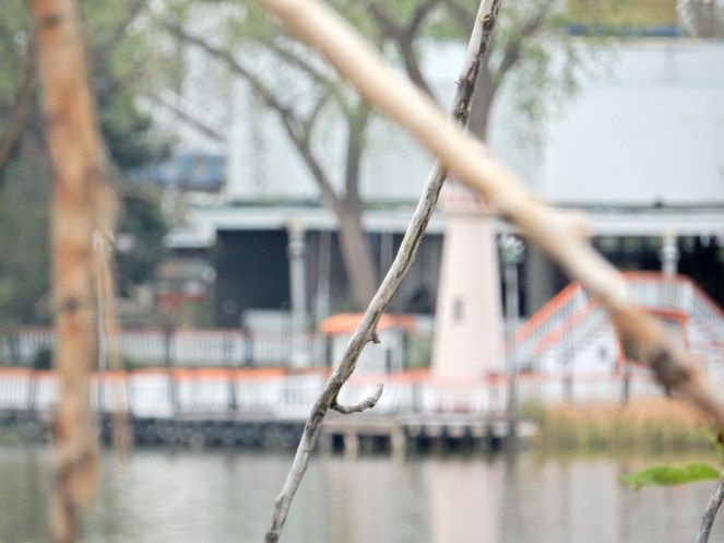 what to do in Colorado, visit colorado, sarahinstyle.com, sarah meyer. travel blog. Glenwood springs, hot springs, Vail, Vail Mountain, Vail Village, colorado, colorado hiking, Boulder, Denver, colorado amusement parks, mountain amusement park, 