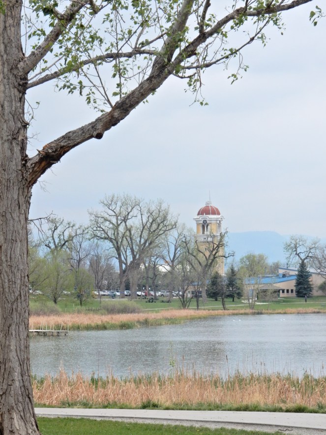 what to do in Colorado, visit colorado, sarahinstyle.com, sarah meyer. travel blog. Glenwood springs, hot springs, Vail, Vail Mountain, Vail Village, colorado, colorado hiking, Boulder, Denver, colorado amusement parks, mountain amusement park, 