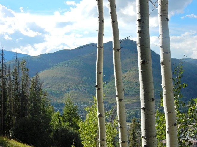 what to do in Colorado, visit colorado, sarahinstyle.com, sarah meyer. travel blog. Glenwood springs, hot springs, Vail, Vail Mountain, Vail Village, colorado, colorado hiking, Boulder, Denver, colorado amusement parks, mountain amusement park, 