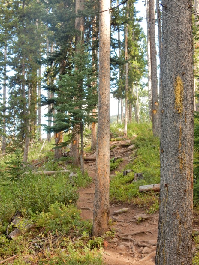 what to do in Colorado, visit colorado, sarahinstyle.com, sarah meyer. travel blog. Glenwood springs, hot springs, Vail, Vail Mountain, Vail Village, colorado, colorado hiking, Boulder, Denver, colorado amusement parks, mountain amusement park, 