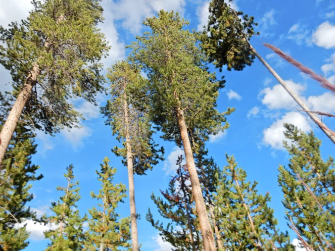 what to do in Colorado, visit colorado, sarahinstyle.com, sarah meyer. travel blog. Glenwood springs, hot springs, Vail, Vail Mountain, Vail Village, colorado, colorado hiking, Boulder, Denver, colorado amusement parks, mountain amusement park, 