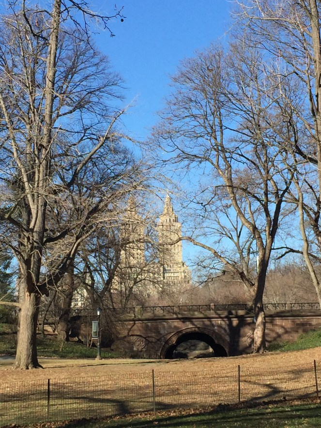 new york minute, what to do in new york, what to do in nyc, new york on the cheap, ideas for nyc, where to go in nyc, how to spend a short amount of time in new york, how to spend a short amount of time in NYC, sarahinstyle.com, travel tips, NYC travel tips, eating in NYC, canal street market, central park, plaza hotel