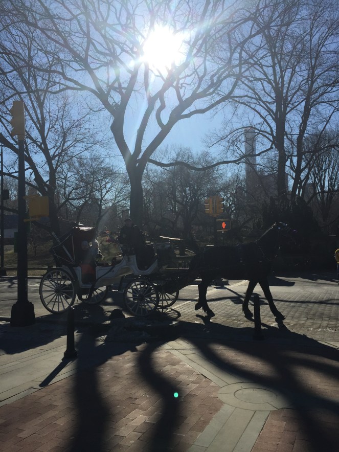 new york minute, what to do in new york, what to do in nyc, new york on the cheap, ideas for nyc, where to go in nyc, how to spend a short amount of time in new york, how to spend a short amount of time in NYC, sarahinstyle.com, travel tips, NYC travel tips, eating in NYC, canal street market, central park, plaza hotel