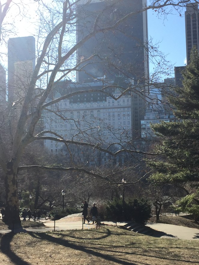 new york minute, what to do in new york, what to do in nyc, new york on the cheap, ideas for nyc, where to go in nyc, how to spend a short amount of time in new york, how to spend a short amount of time in NYC, sarahinstyle.com, travel tips, NYC travel tips, eating in NYC, canal street market, central park, plaza hotel